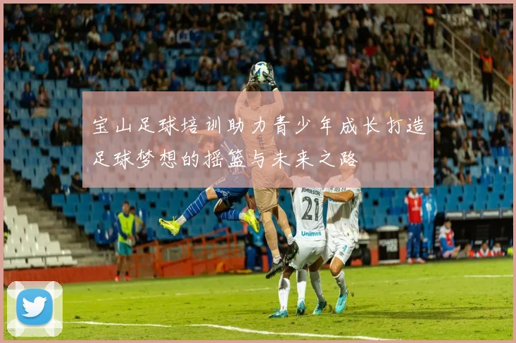 宝山足球培训助力青少年成长打造足球梦想的摇篮与未来之路