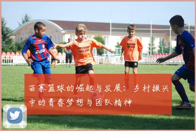 苗寨篮球的崛起与发展：乡村振兴中的青春梦想与团队精神